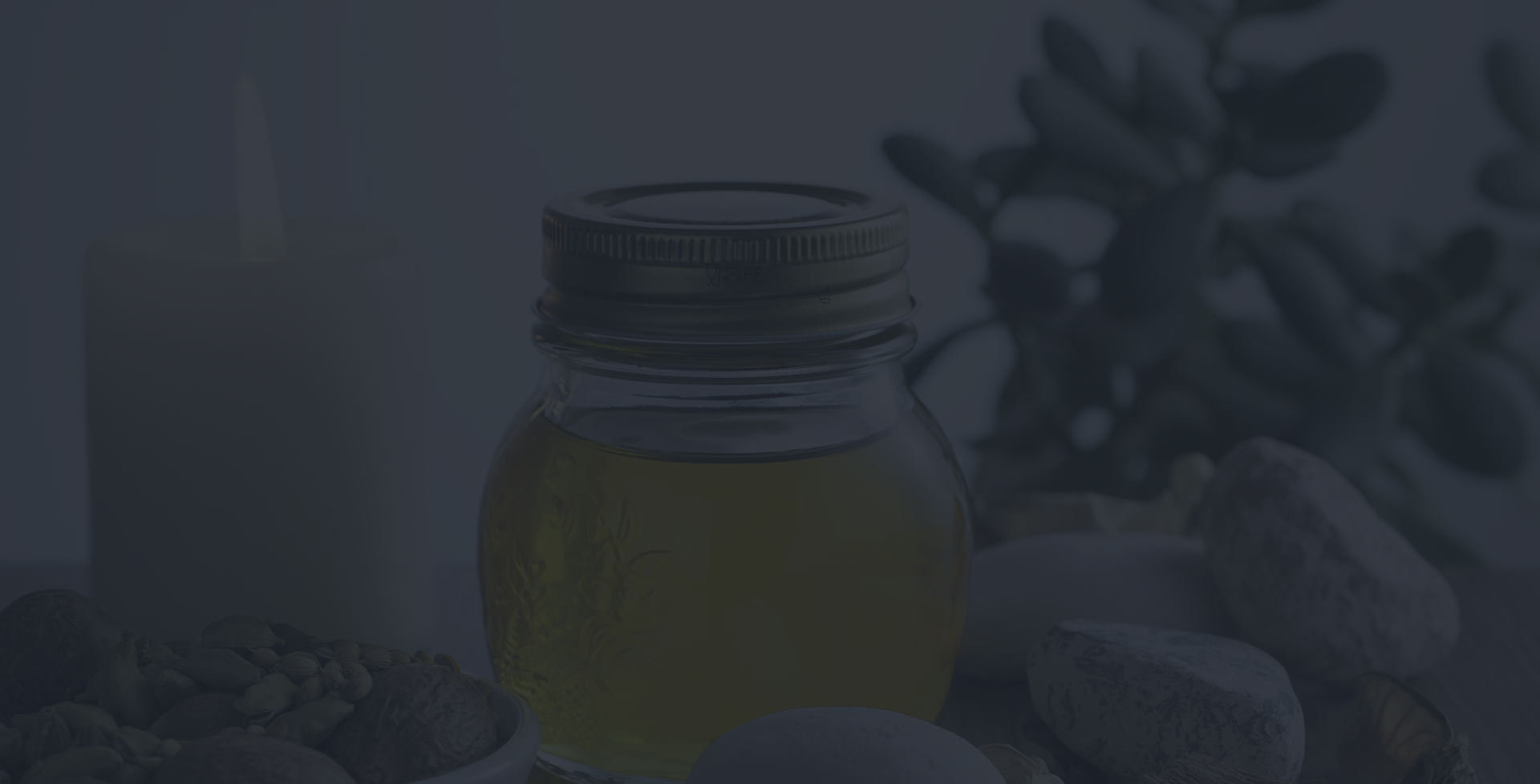 Pharma POS software download