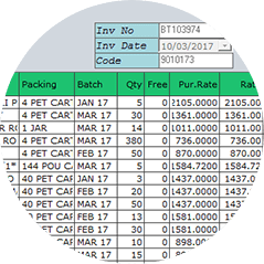wholesale ERP software to manage detailed stock status